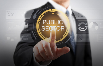 Public Sector 1