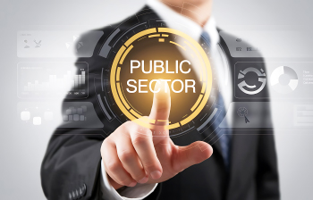 Public Sector